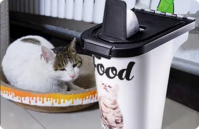 Contenedor moldeado por inyección de plástico para alimentos para mascotas