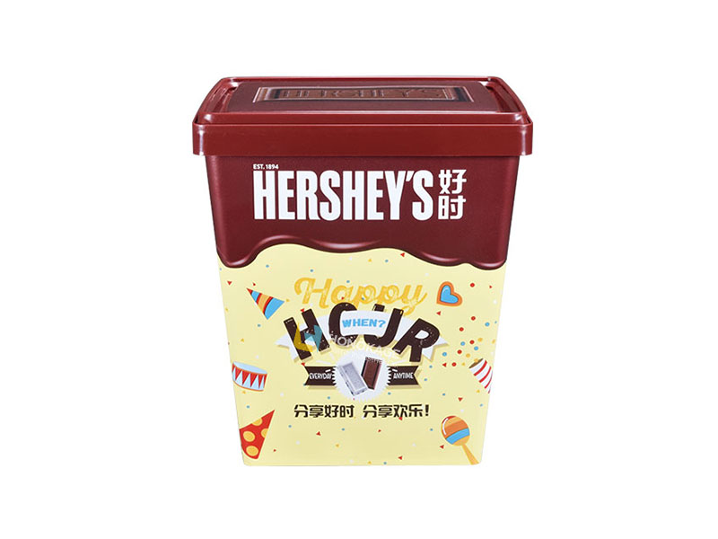 5lt ice cream container